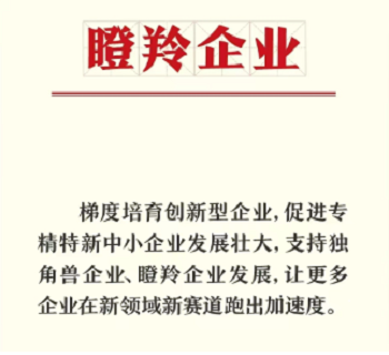 公司入選重慶市(shì)瞪羚企業(yè)